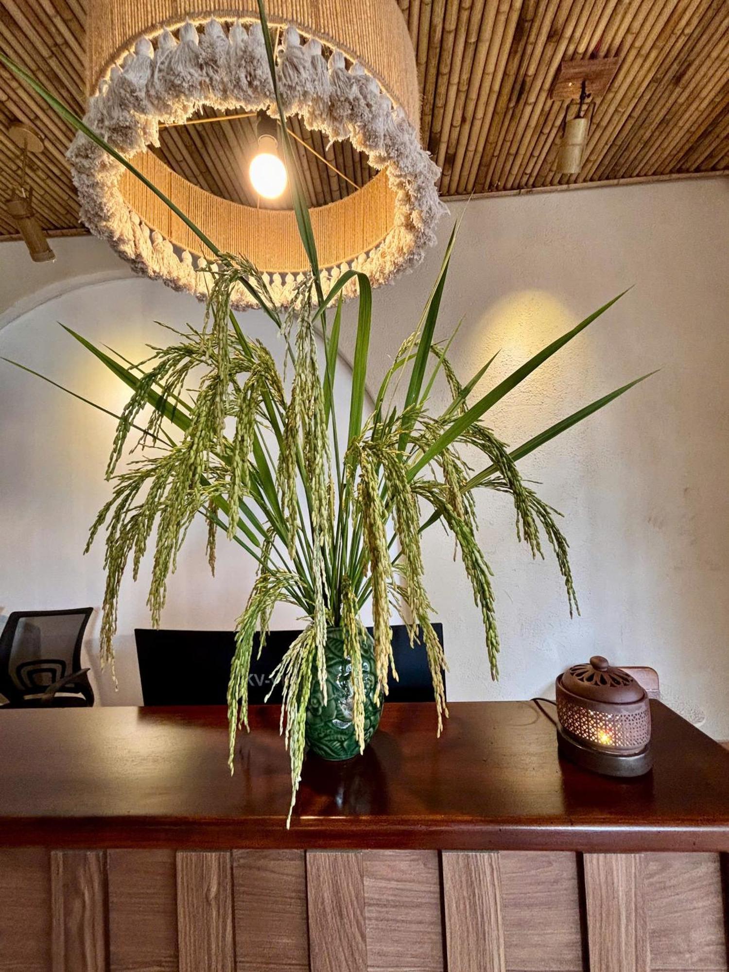 Truong Giang Boutique Hotel Lang Mon 外观 照片